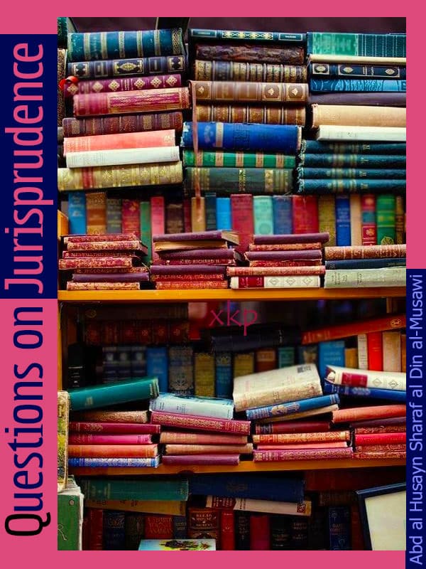 Questions On Jurisprudence by Syed Abdal Husayn Sharaf Din Musawi
