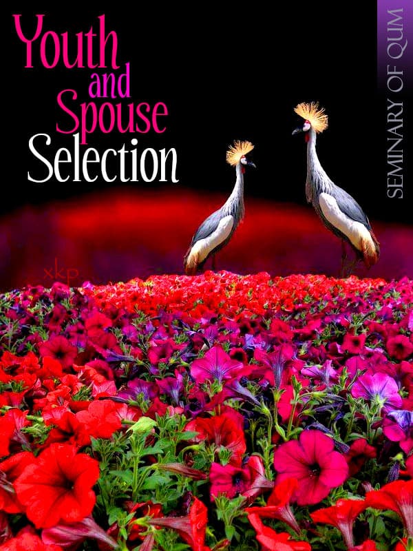 Youth And Spouse Selection by Unknown