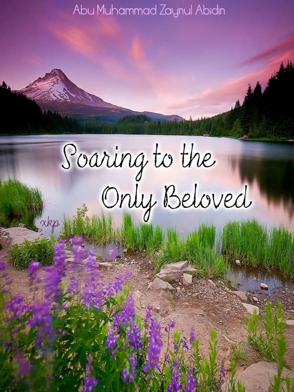 Soaring To The Only Beloved by Abu Muhammad Zaynul Abidin
