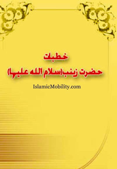 Khutbat E Hazrat Zainab (Sa) by Urdu Author